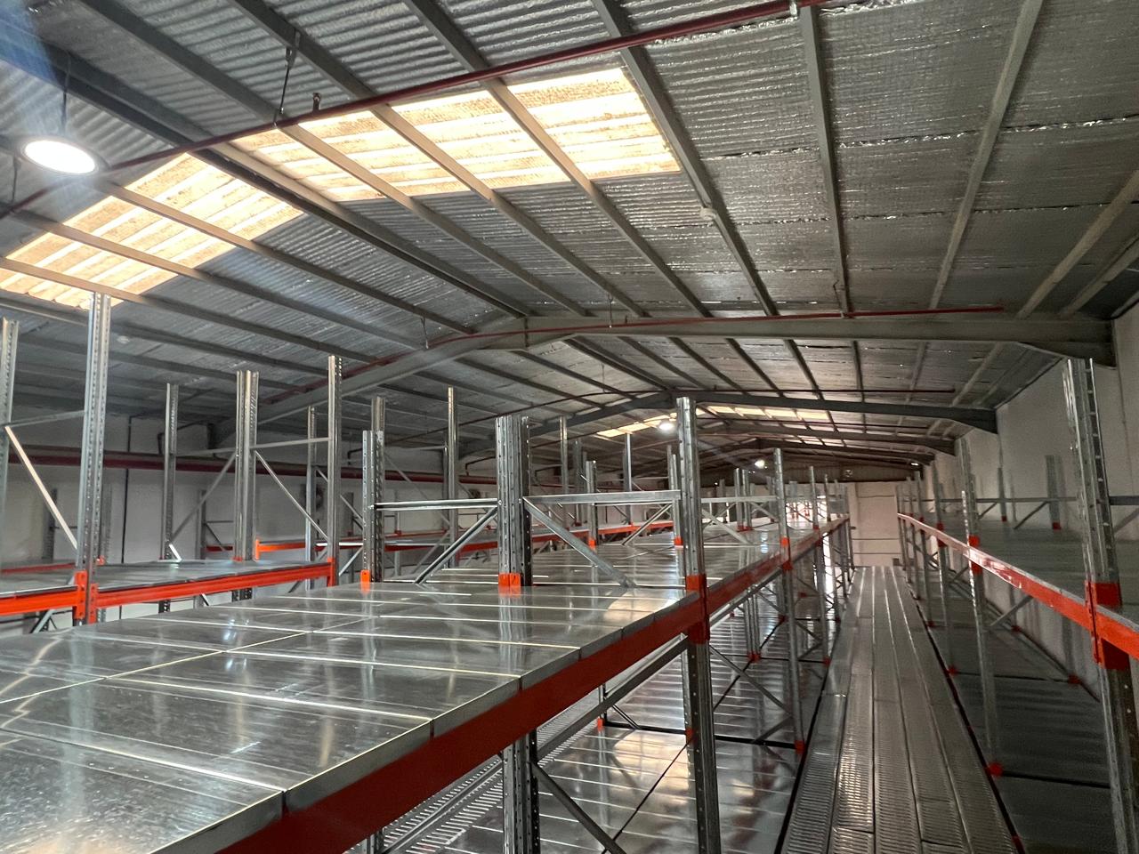 عمالقة الرفوف